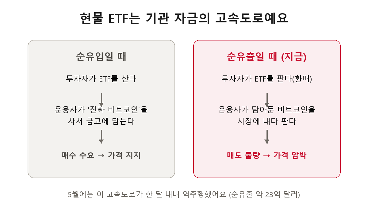 현물 ETF 자금 흐름 구조 — 순유입이면 운용사가 실제 비트코인을 사서 가격을 지지하고, 순유출이면 내다 팔아 가격을 압박한다