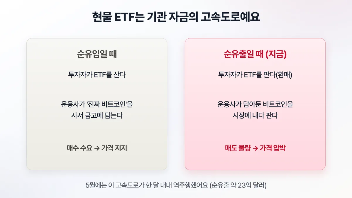 현물 ETF 자금 흐름 구조 — 순유입이면 운용사가 실제 비트코인을 사서 가격을 지지하고, 순유출이면 내다 팔아 가격을 압박한다
