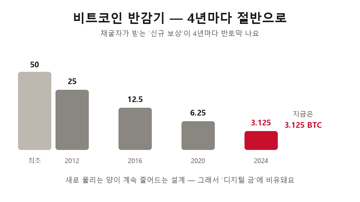 비트코인 반감기 — 채굴 보상이 50에서 25(2012), 12.5(2016), 6.25(2020), 3.125(2024)로 4년마다 절반
