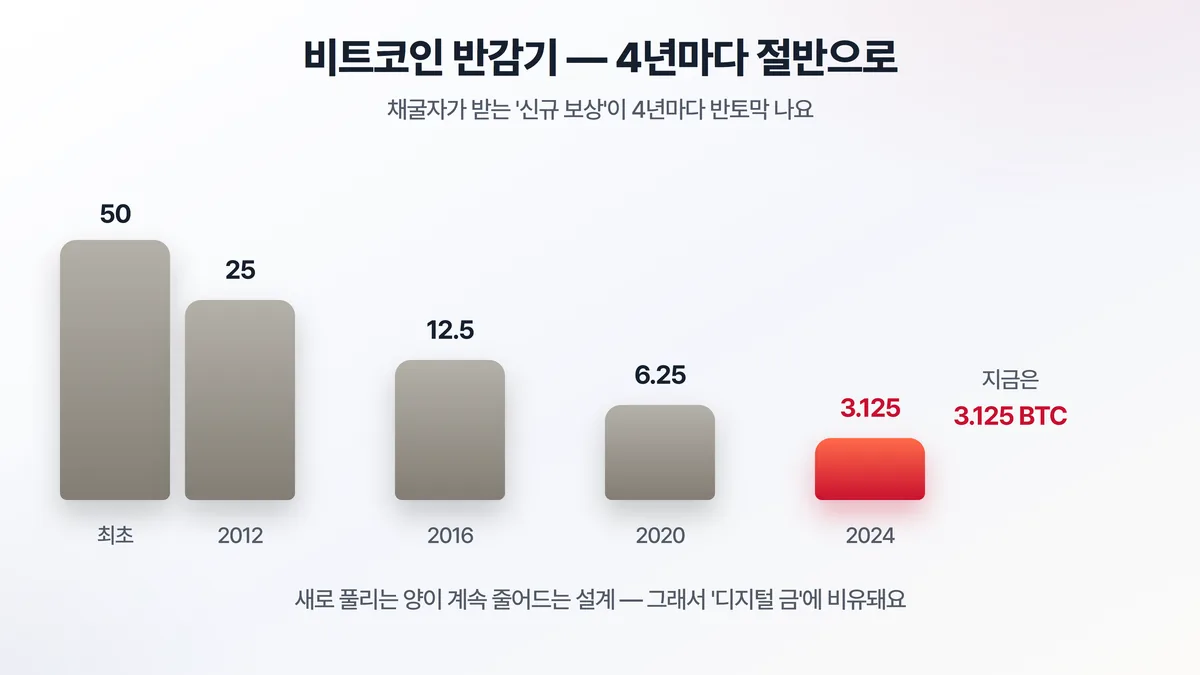 비트코인 반감기 — 채굴 보상이 50에서 25(2012), 12.5(2016), 6.25(2020), 3.125(2024)로 4년마다 절반