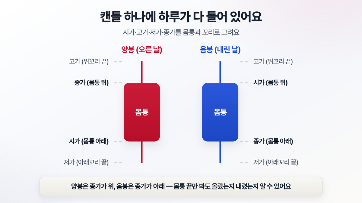 캔들 하나의 구조 — 통통한 몸통은 시가와 종가 사이를, 위아래로 뻗은 가느다란 꼬리(심지)는 고가와 저가를 나타낸다는 것을 보여주는 도해