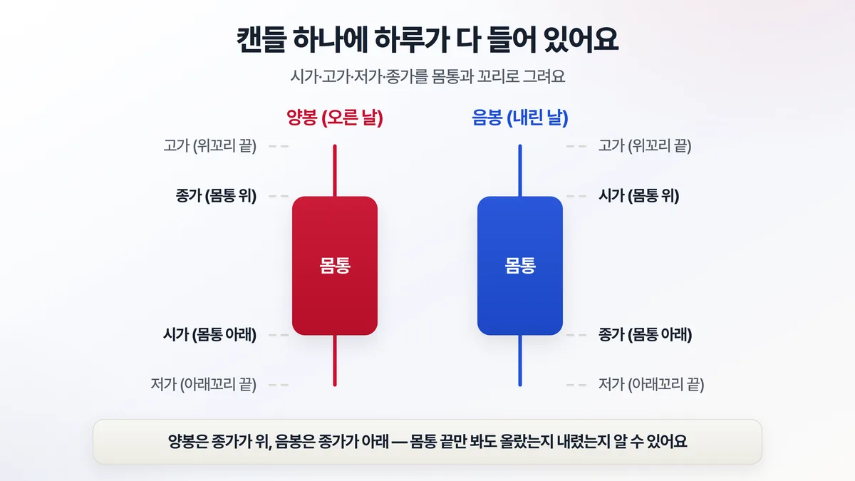 캔들 하나의 구조 — 통통한 몸통은 시가와 종가 사이를, 위아래로 뻗은 가느다란 꼬리(심지)는 고가와 저가를 나타낸다는 것을 보여주는 도해