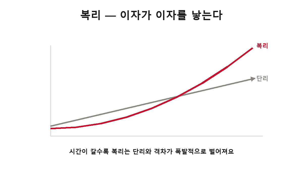 단리 vs 복리 — 단리는 직선으로, 복리는 시간이 갈수록 곡선으로 격차가 폭발적으로 벌어진다