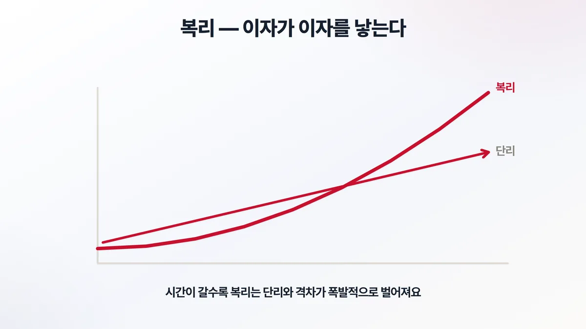 단리 vs 복리 — 단리는 직선으로, 복리는 시간이 갈수록 곡선으로 격차가 폭발적으로 벌어진다