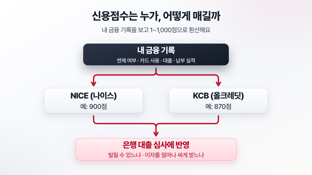NICE와 KCB 두 신용평가사가 한 사람의 금융 기록을 보고 각각 1점에서 1000점 사이로 신용점수를 매기고, 그 점수가 은행 대출 심사로 이어지는 흐름을 보여주는 도해