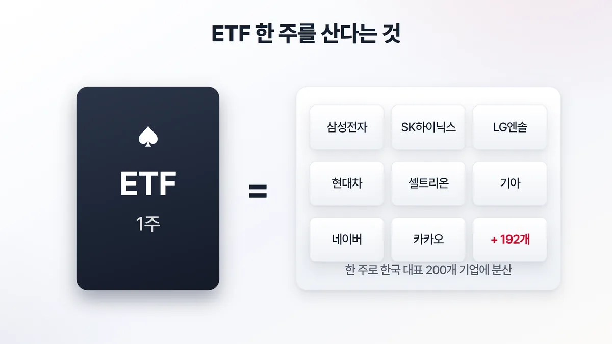 ETF 구조 도해 — ETF 한 주를 사면 삼성전자부터 카카오까지 200개 기업을 나눠 갖는 효과