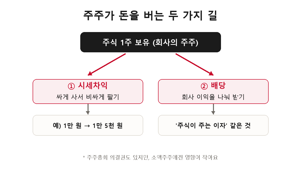 주주가 돈을 버는 두 가지 길 — 싸게 사서 비싸게 파는 시세차익과, 회사 이익을 나눠 받는 배당을 비교한 도해