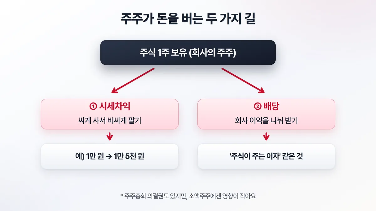 주주가 돈을 버는 두 가지 길 — 싸게 사서 비싸게 파는 시세차익과, 회사 이익을 나눠 받는 배당을 비교한 도해